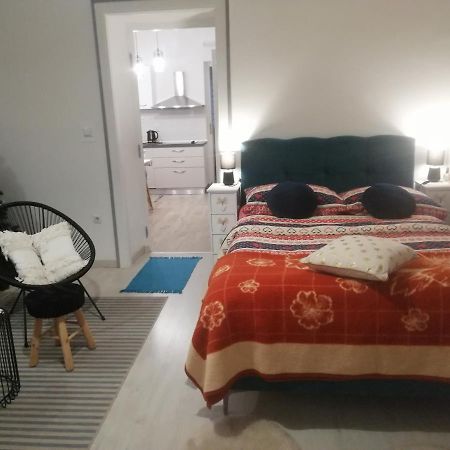 Studio Apartman Manuela Rijeka Bagian luar foto