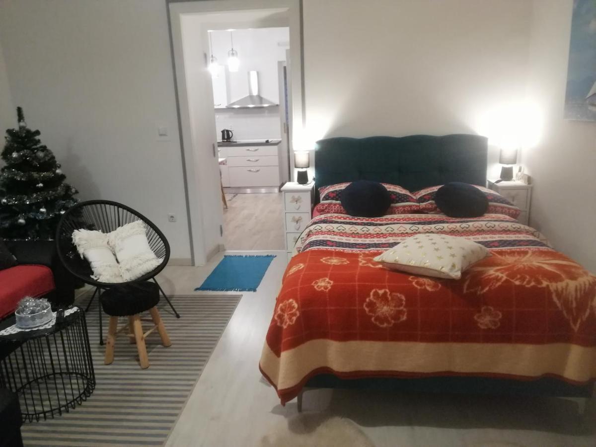 Studio Apartman Manuela Rijeka Bagian luar foto